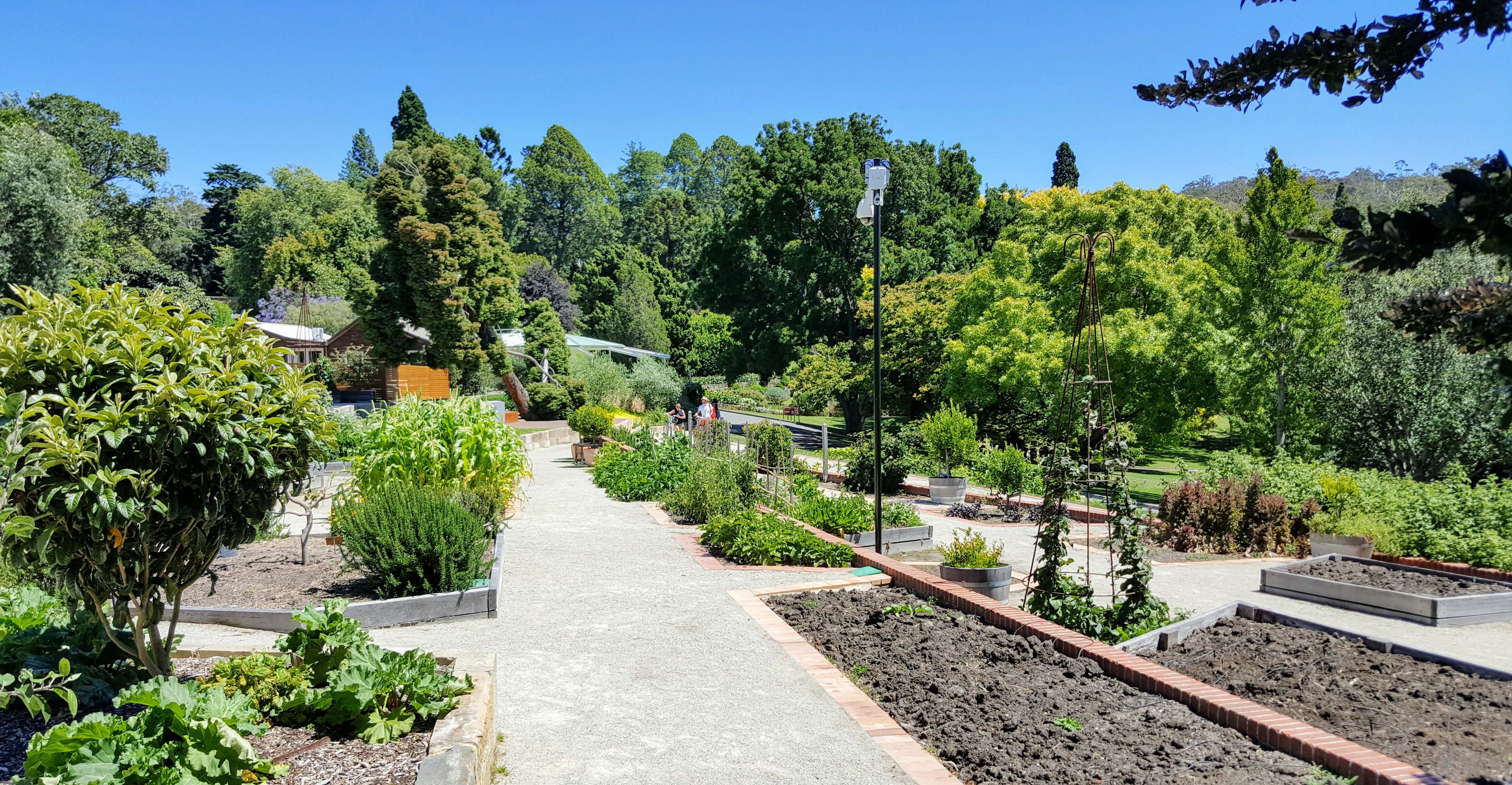 Royal Tasmanian Botanical Gardens - Tasmanian Community Food Garden