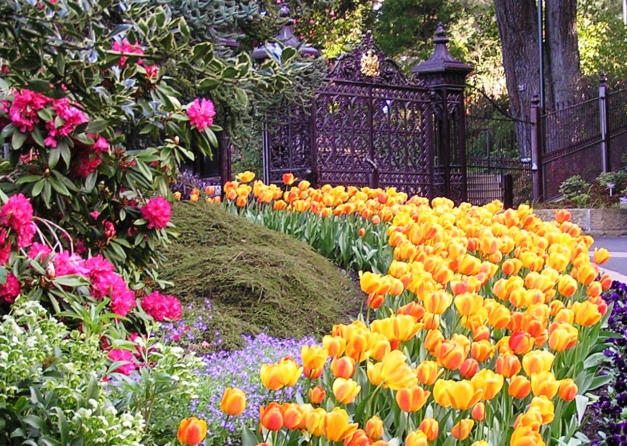 Front domain gates with orange yellow tulip display