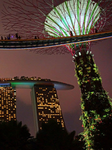 Gardens by the bay, trees at night fully lit up during the light show activities
