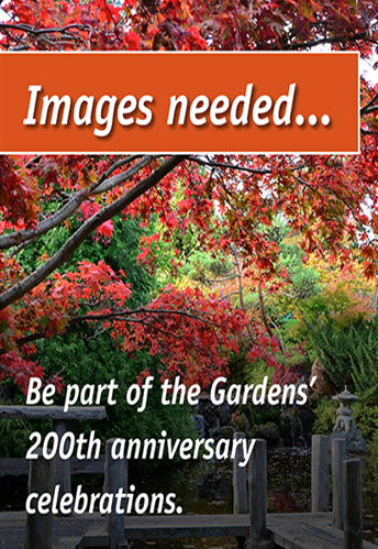 Bicentenary book image upload your own images of the Gardens